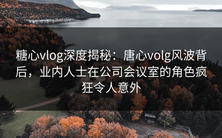 糖心vlog深度揭秘：唐心volg风波背后，业内人士在公司会议室的角色疯狂令人意外