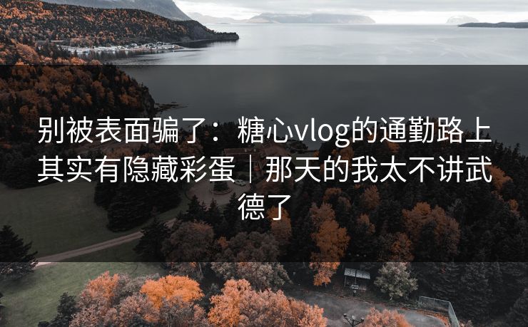 别被表面骗了：糖心vlog的通勤路上其实有隐藏彩蛋｜那天的我太不讲武德了
